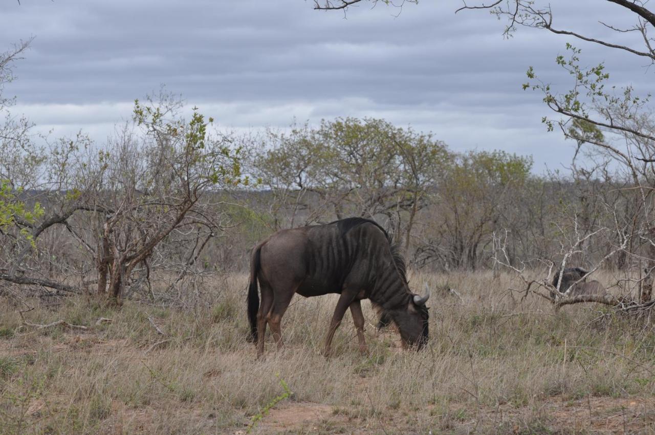 Hazyview Buffalo Game Lodge Exteriér fotografie